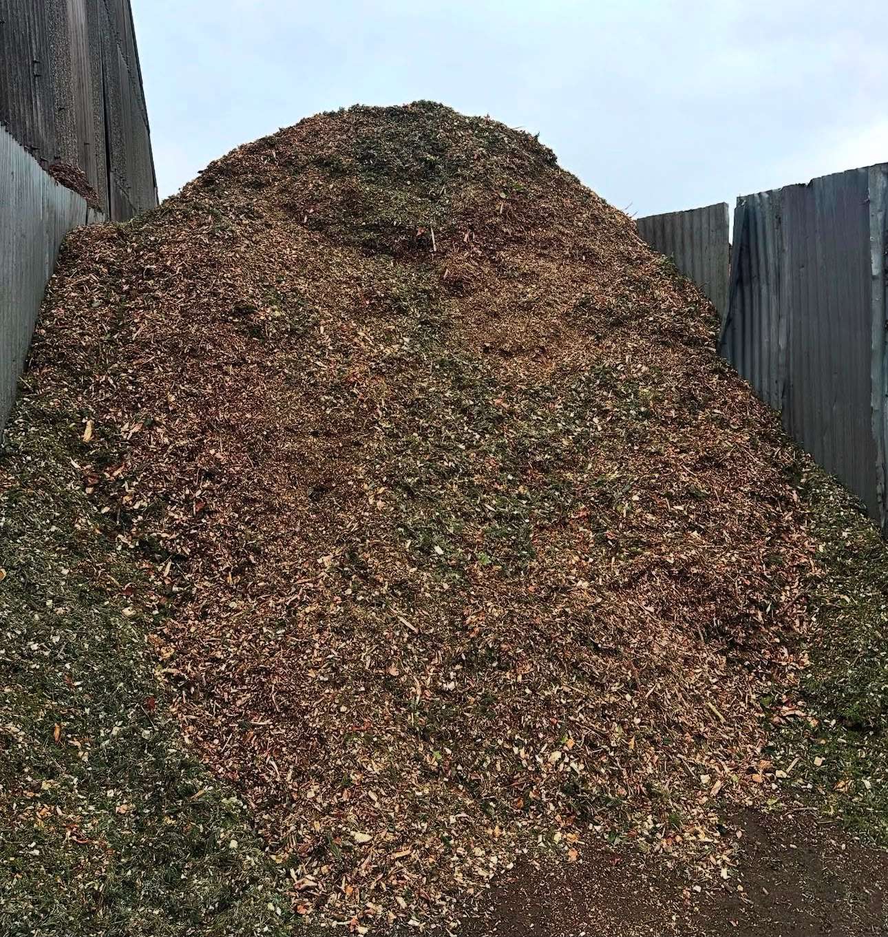 Woodland mulch from recycled tree surgery waste